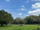 Picturesque view of a green pasture with horses, mature trees, and perimeter fence at 10245 Sw 105Th St, Ocala, FL 34481