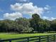 Lush green pasture with a dark wooden fence and mature trees under a blue sky at 10245 Sw 105Th St, Ocala, FL 34481