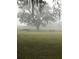 Scenic pasture view on foggy morning with horses grazing near a wooden fence at 10245 Sw 105Th St, Ocala, FL 34481