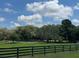 Extensive green pasture framed by a dark perimeter fence and mature trees in the distance at 10245 Sw 105Th St, Ocala, FL 34481