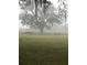 Peaceful pastoral scene with horses grazing in a misty field at 10245 Sw 105Th St, Ocala, FL 34481