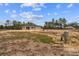 New home construction features a spacious, mostly cleared backyard and some wooded perimeter areas at 11910 Sw 43Rd Street Road, Ocala, FL 34481