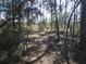 Wooded nature trail perfect for walking at 23092 Sw Nautilus Blvd, Dunnellon, FL 34431