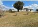 Grassy front yard featuring a mature tree, shrubs and a house with a garage at 331 Oak Lane Dr, Ocala, FL 34472