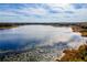 Aerial view of a serene lake with lush vegetation at 4 Hickory Track Trce, Ocala, FL 34472