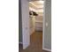 Walk-in closet with carpet and built-in shelving with the door slightly open at 404 Cr 487, Lake Panasoffkee, FL 33538