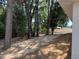 Wide backyard with mature trees for custom landscaping ideas and a private retreat at 7 Nw 45Th Loop, Ocala, FL 34470