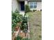 Inviting front garden with a variety of potted plants and vegetables along the walkway to the front door at 1561 Ne 160Th Pl, Citra, FL 32113