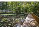 Wooden dock extending over calm waters with lily pads at 20800 River Dr # A16, Dunnellon, FL 34431