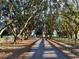 Long tree-lined driveway leading to a charming country home at 6255 Mercantile Ln, Fort Meade, FL 33841