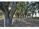 Wooden fence line with large oak trees and a bench in the pasture at 6255 Mercantile Ln, Fort Meade, FL 33841