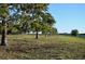 Spacious pasture with a line of pine trees and a white rail fence at 6255 Mercantile Ln, Fort Meade, FL 33841