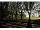 Sunlit pasture with trees and a white fence at 6255 Mercantile Ln, Fort Meade, FL 33841