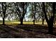 Pasture with Oak trees and grassy area at 6255 Mercantile Ln, Fort Meade, FL 33841