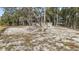 Mobile home nestled in a wooded area with a large yard at 6555 Se 165Th Ave, Ocklawaha, FL 32179