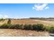 View of open space beyond a hedge at 7865 Sw 89Th Cir, Ocala, FL 34481