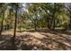 Very large and shady back yard with old trees at 9352 Ne 27Th Ter, Anthony, FL 32617