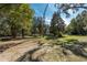 Wide shot of the home and the yard, shaded by the canopy of trees at 9352 Ne 27Th Ter, Anthony, FL 32617