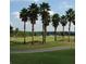 Scenic golf course view featuring lush green grass, palm trees, and golfers enjoying the outdoors at 9651 Se 137Th Street Rd, Summerfield, FL 34491