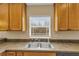 Clean and functional kitchen sink with double basins at 12854 Se 118Th Ter, Ocklawaha, FL 32179