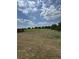 Large backyard with ample space and scenic views at 6414 Sw 67Th Pl, Ocala, FL 34476