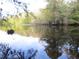 Calm river reflecting lush trees at 17840 Se 28Th Pl, Silver Springs, FL 34488