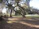 Large oak trees and grassy yard with Spanish moss at 17840 Se 28Th Pl, Silver Springs, FL 34488