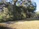 Wooded area with mature trees and open grassy space at 17840 Se 28Th Pl, Silver Springs, FL 34488