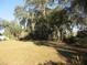 Open grassy area with mature trees and natural landscaping at 17840 Se 28Th Pl, Silver Springs, FL 34488