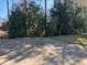 Spacious backyard with grass and some foliage at 7673 Sw 180Th Cir, Dunnellon, FL 34432