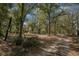 Gravel driveway leading to home, surrounded by trees at 7740 Sw 70Th Ave, Ocala, FL 34476