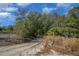 Dirt driveway leading into a wooded area at 7740 Sw 70Th Ave, Ocala, FL 34476