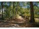 Long driveway lined with trees and fence at 7740 Sw 70Th Ave, Ocala, FL 34476