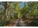 Long driveway leading to home, lined with lush trees at 7740 Sw 70Th Ave, Ocala, FL 34476