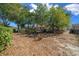 View of backyard enclosed by chain-link fence with several mature trees at 8639 Sw 116Th Lane Rd, Ocala, FL 34481