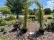Charming garden featuring a floral archway with flowering vines and colorful plants at 13779 Sw 115Th Cir, Dunnellon, FL 34432