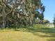 Picturesque view of a lush green backyard, featuring mature trees with Spanish moss and a serene lake at 8470 Las Palmas Way, Wildwood, FL 34785