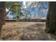 Large backyard with mature trees providing ample shade and a storage shed at 2923 Se 14Th St, Ocala, FL 34471