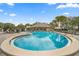 Bright pool view featuring an oval shape with blue water, palm trees, lounge chairs and a clubhouse in the background at 7451 Sw 111Th Pl, Ocala, FL 34476