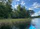 Serene view of the Rainbow River, with a kayaker enjoying the natural surroundings at 8981 Sw Sw 209Th Cir, Dunnellon, FL 34431