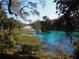 Scenic river view with crystal clear water and lush surrounding vegetation at 8981 Sw Sw 209Th Cir, Dunnellon, FL 34431