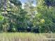 Private property sign amidst lush greenery, ensuring exclusivity and restricted access to residents and guests at 8981 Sw Sw 209Th Cir, Dunnellon, FL 34431