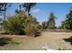 View of a grass covered backyard with mature trees, green bushes and a fence at 3560 Sw 24Th Avenue Rd, Ocala, FL 34471