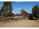 View of a grass covered backyard with a fence, mature trees, and lush plants at 3560 Sw 24Th Avenue Rd, Ocala, FL 34471