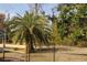 Backyard showcasing green trees and a fence at 3560 Sw 24Th Avenue Rd, Ocala, FL 34471