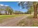 A backyard view showcasing a green, expansive lawn leading to other residences beyond mature landscaping at 6793 Sw 111Th Loop, Ocala, FL 34476