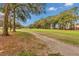 A backyard view with a path that showcases the mature trees and expansive green space in a residential neighborhood at 6793 Sw 111Th Loop, Ocala, FL 34476