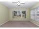 Bedroom featuring neutral carpet, green walls, large windows, and a ceiling fan at 6793 Sw 111Th Loop, Ocala, FL 34476