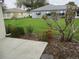 Exterior view of the lush backyard, showing a well-manicured lawn and tidy landscaping at 11353 Sw 138Th Ln, Dunnellon, FL 34432