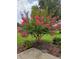 Well maintained landscaping featuring a beautiful crape myrtle tree with vibrant pink flowers in a lush green lawn at 11353 Sw 138Th Ln, Dunnellon, FL 34432